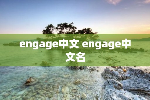 engage中文 engage中文名