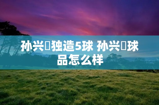 孙兴慜独造5球 孙兴慜球品怎么样