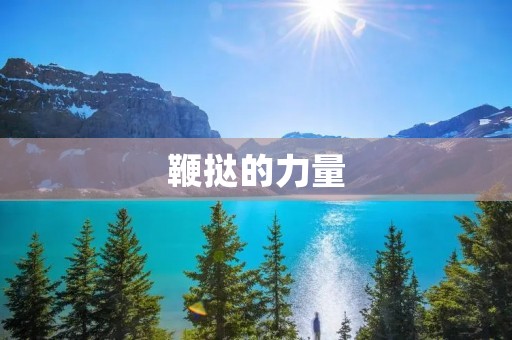 鞭挞的力量:审视历史中的鞭挞现象