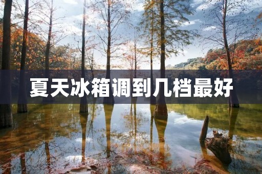 夏天冰箱调到几档最好：为了保持食物的新鲜和安全