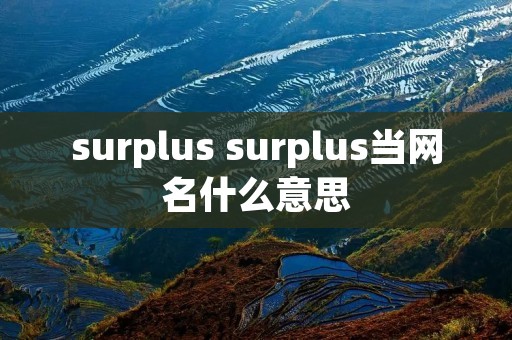 surplus surplus当网名什么意思