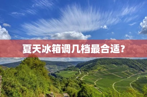 夏天冰箱调几档最合适？