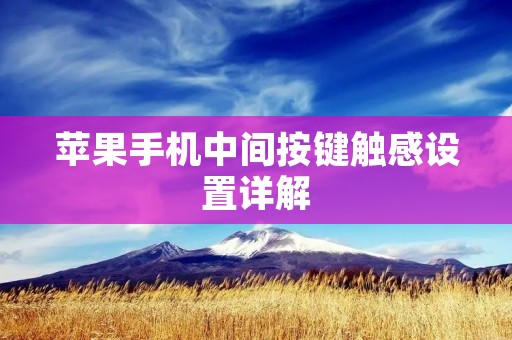 苹果手机中间按键触感设置详解