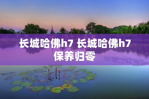 长城哈佛h7 长城哈佛h7保养归零 长城哈佛h7 长城哈佛h7保养归零
