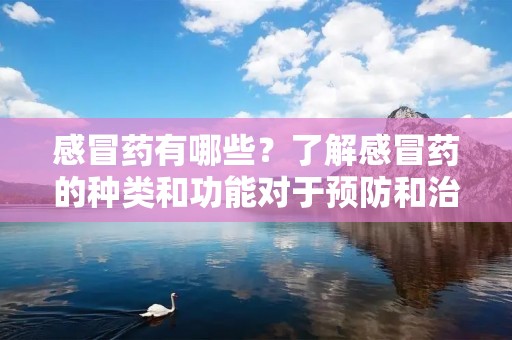 感冒药有哪些?了解感冒药的种类和功能对于预防和治疗感冒症状至关重要。本文将介绍常见的感冒药种类和其作用机制,帮助您更好地了解如何选择适合自己的感冒药物。