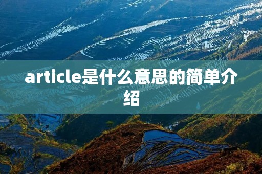 article是什么意思的简单介绍