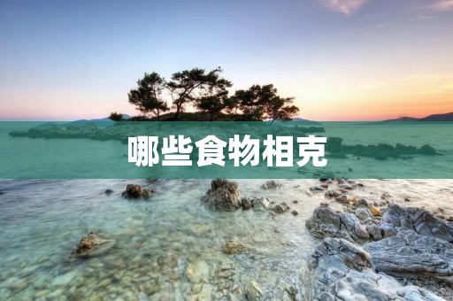 哪些食物相克