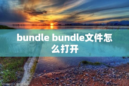 bundle bundle文件怎么打开