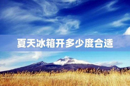 夏天冰箱开多少度合适 夏天冰箱开多少度合适