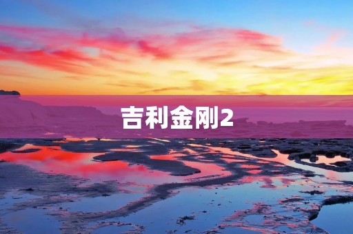 吉利金刚2：引领SUV市场的新力量