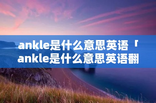 ankle是什么意思英语「ankle是什么意思英语翻译」
