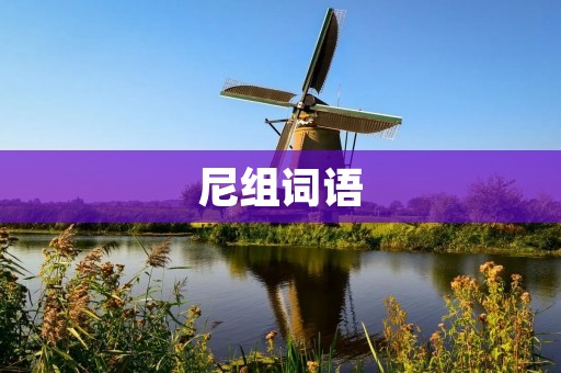 尼组词语:探索尼组词语的魅力与应用