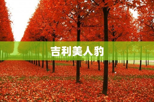 吉利美人豹：纵情驰骋的时尚座驾