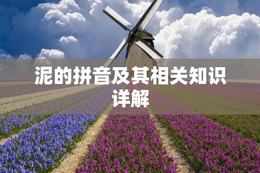 泥的拼音及其相关知识详解