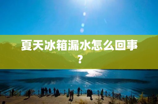 夏天冰箱漏水怎么回事? 夏天冰箱漏水怎么回事?