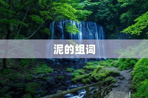 泥的组词:泥水、黏泥、软泥、湿泥、泥浆、黏土、河泥、淤泥、黏糊、泥泞、黏滑、泥沙、黏稠、沼泽、泥泞不堪、烂泥、粘泥、泥沼、泥泥糊糊、泥泥巴巴