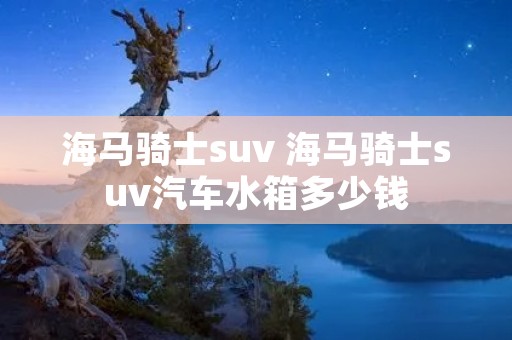海马骑士suv 海马骑士suv汽车水箱多少钱 海马骑士suv 海马骑士suv汽车水箱多少钱