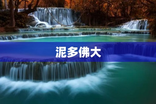 泥多佛大:一场关于创新与突破的探索之旅