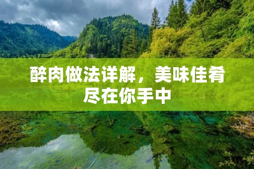醉肉做法详解，美味佳肴尽在你手中