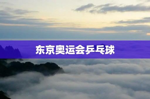 东京奥运会乒乓球：中国队再次称霸世界舞台
