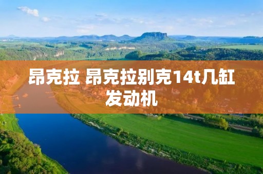 昂克拉 昂克拉别克14t几缸发动机