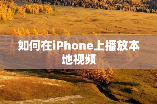 如何在iPhone上播放本地视频