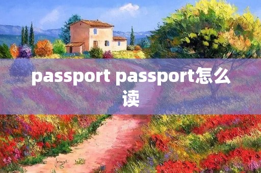 passport passport怎么读