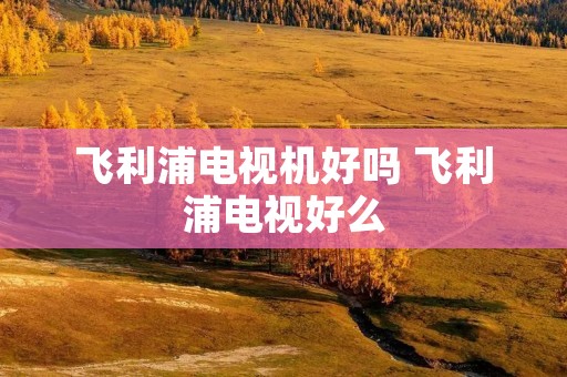 飞利浦电视机好吗 飞利浦电视好么