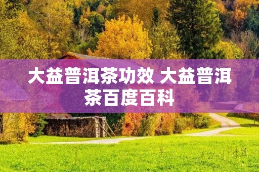 大益普洱茶功效 大益普洱茶百度百科