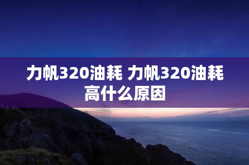 力帆320油耗 力帆320油耗高什么原因