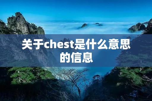关于chest是什么意思的信息