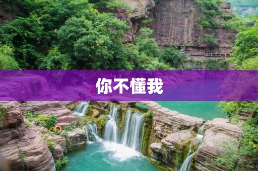 你不懂我:探寻内心的深层需求与情感