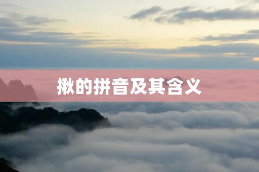 揪的拼音及其含义