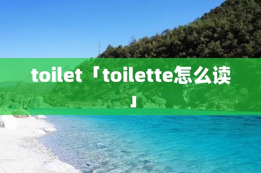 toilet「toilette怎么读」 toilet「toilette怎么读」