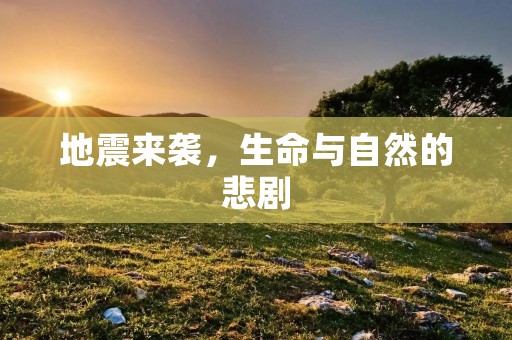 地震来袭,生命与自然的悲剧