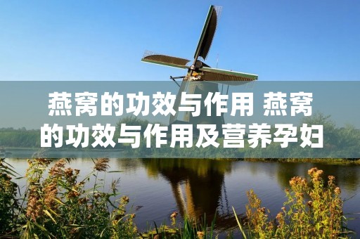 燕窝的功效与作用 燕窝的功效与作用及营养孕妇的好处