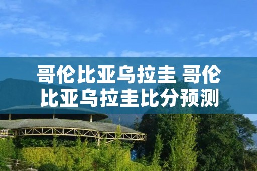 哥伦比亚乌拉圭 哥伦比亚乌拉圭比分预测