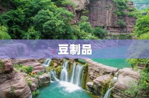 豆制品:种类丰富,营养价值高