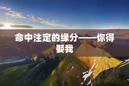 命中注定的缘分——你得娶我