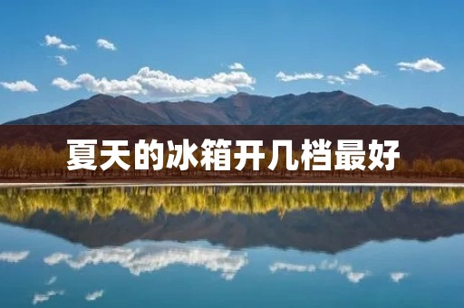 夏天的冰箱开几档最好 夏天的冰箱开几档最好