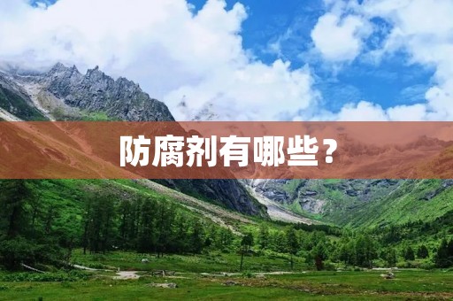 防腐剂有哪些?
