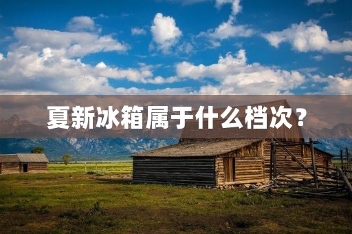 夏新冰箱属于什么档次？