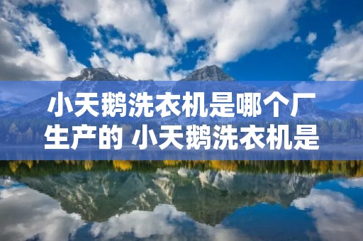 小天鹅洗衣机是哪个厂生产的 小天鹅洗衣机是哪个厂家生产