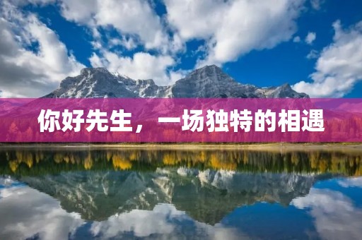 你好先生,一场独特的相遇