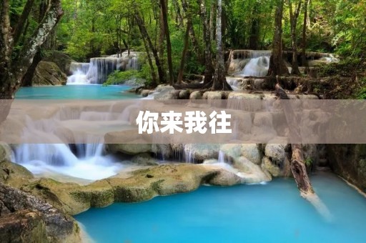你来我往:探寻人际交往中的互动之道