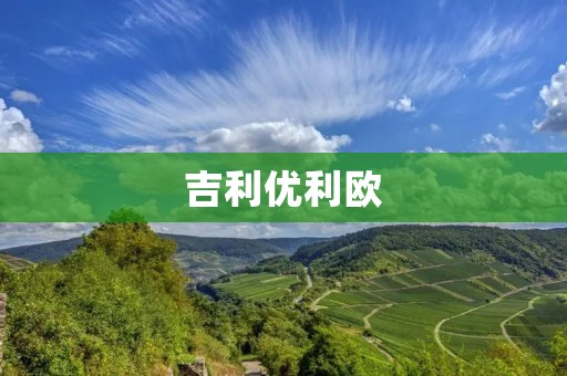 吉利优利欧：中国汽车品牌的崛起与发展