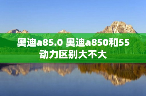 奥迪a85.0 奥迪a850和55动力区别大不大
