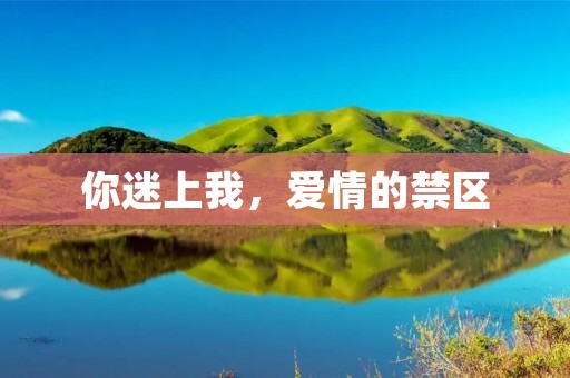 你迷上我,爱情的禁区