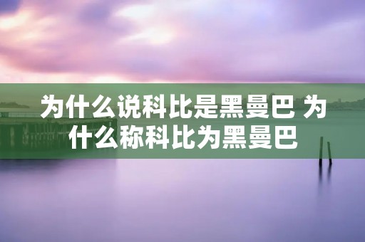 为什么说科比是黑曼巴 为什么称科比为黑曼巴