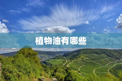 植物油有哪些